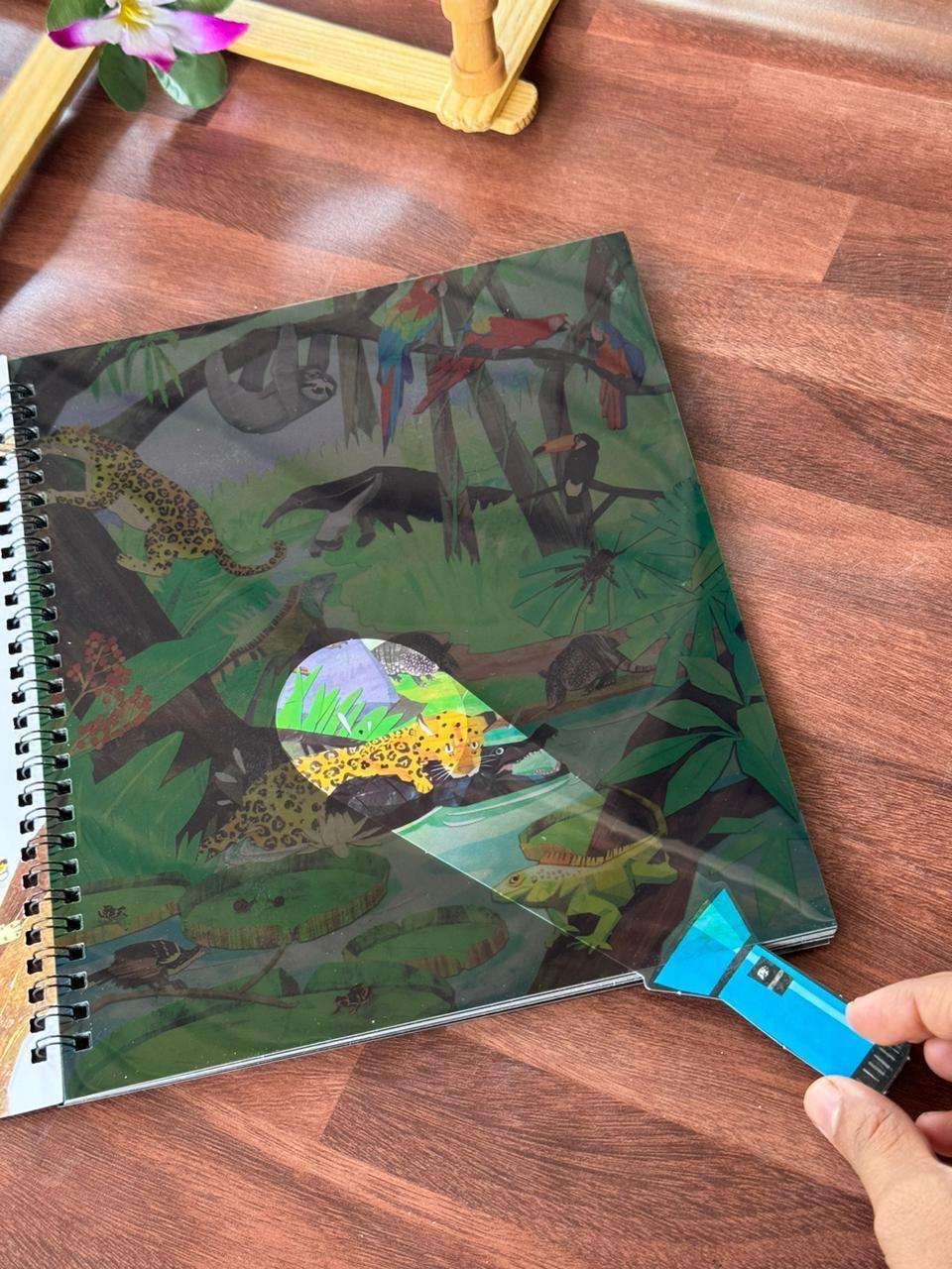 Flashlight Searching Book