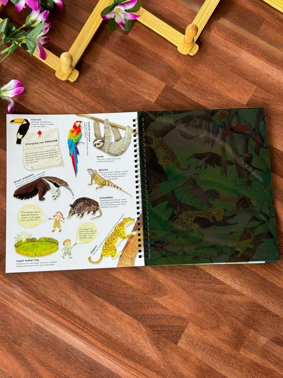 Flashlight Searching Book