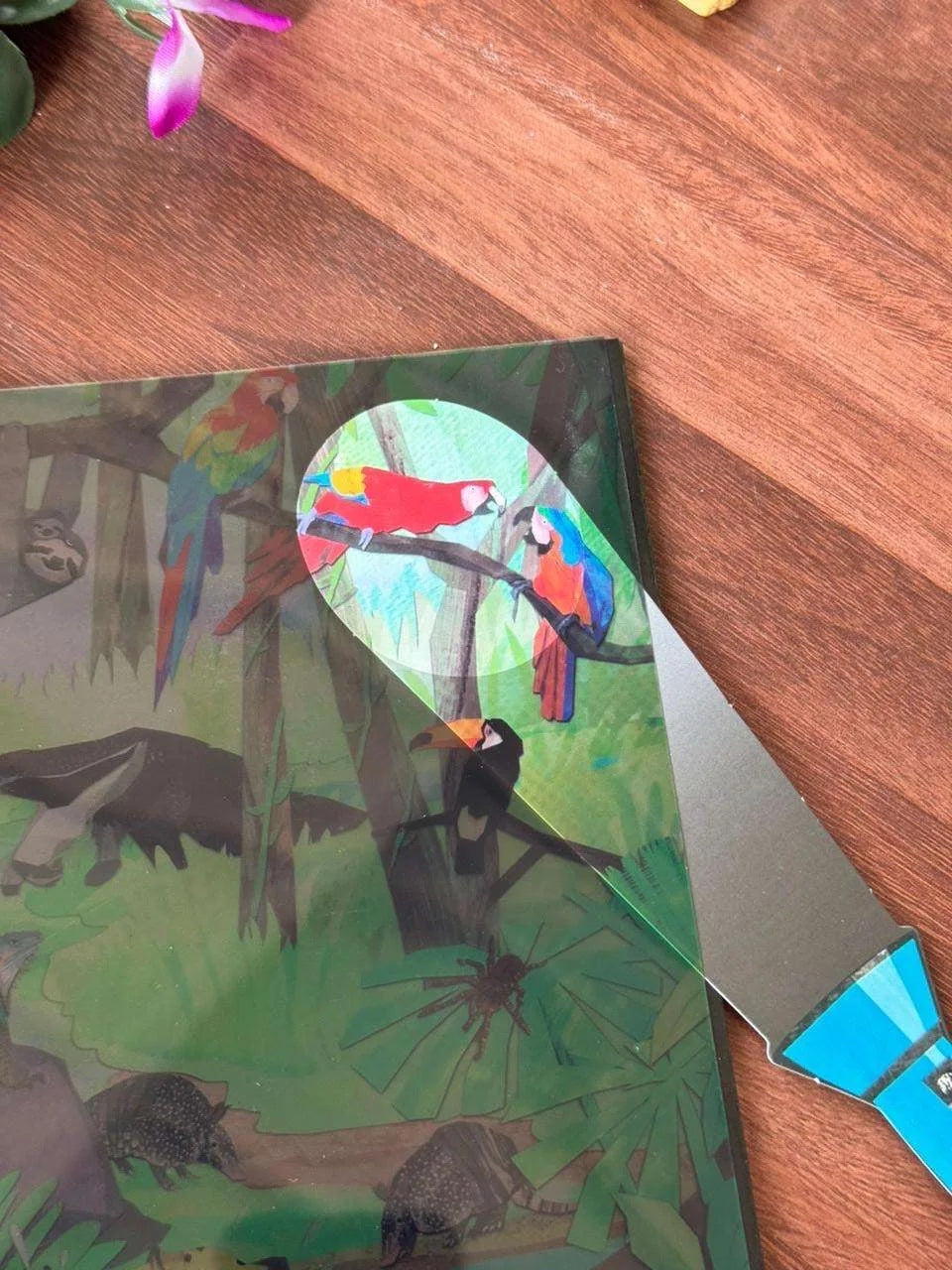 Flashlight Searching Book