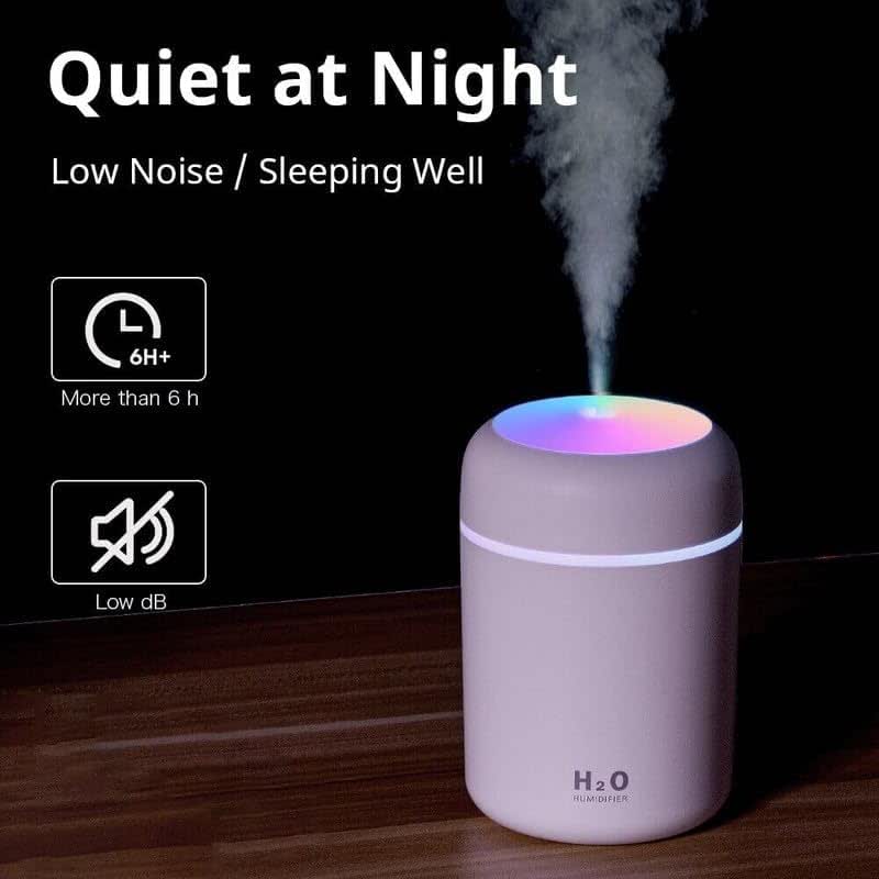 H2O Humidifier
