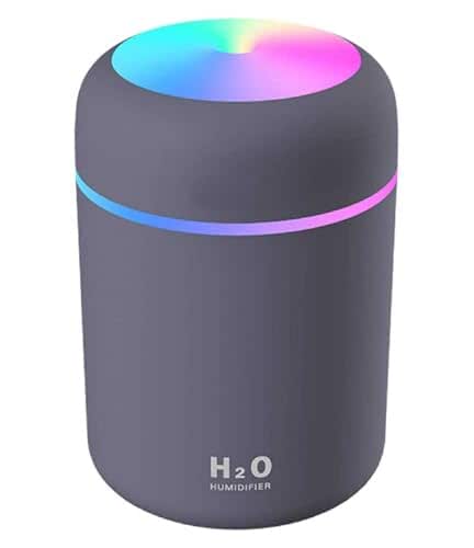 H2O Humidifier