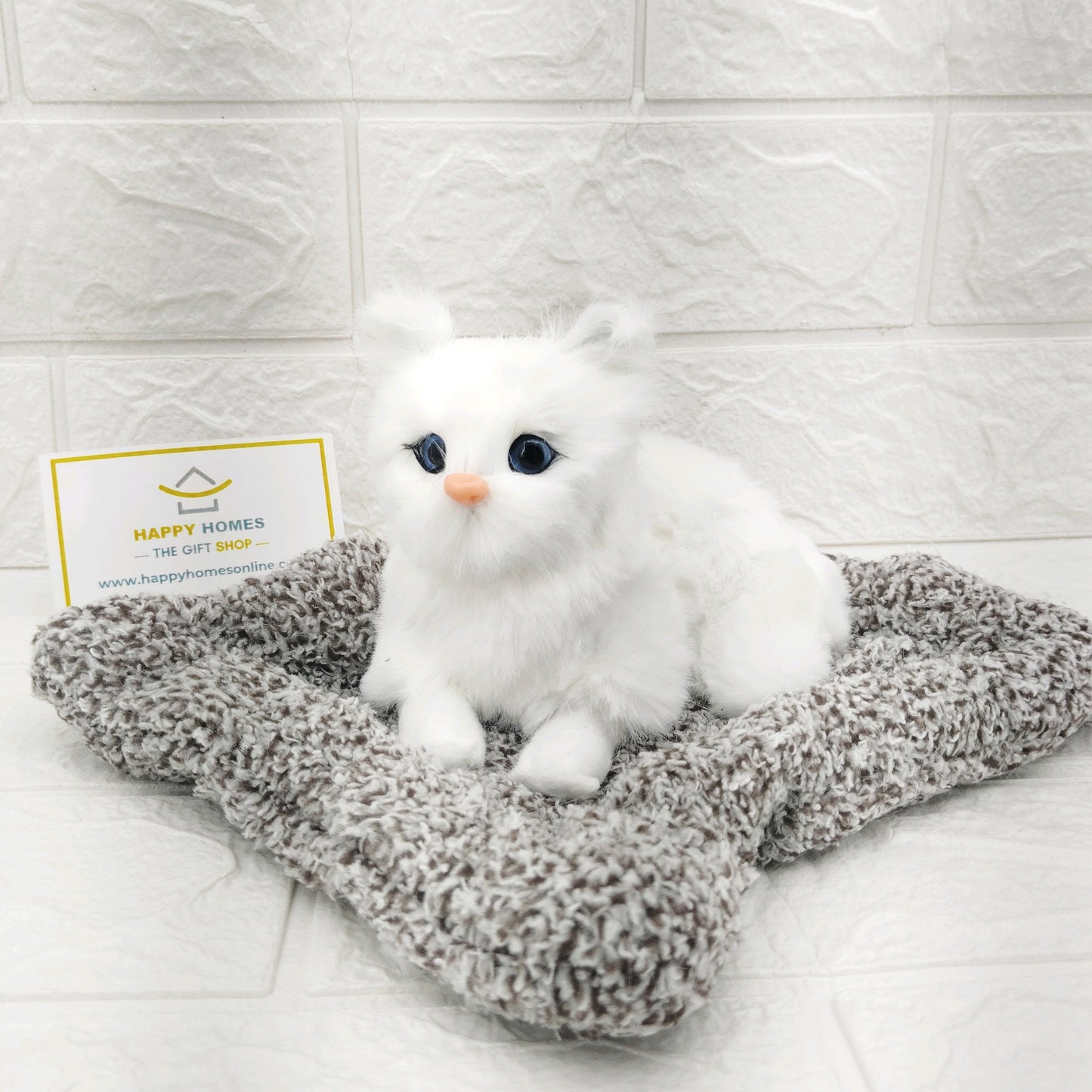 Waiting sitting cat