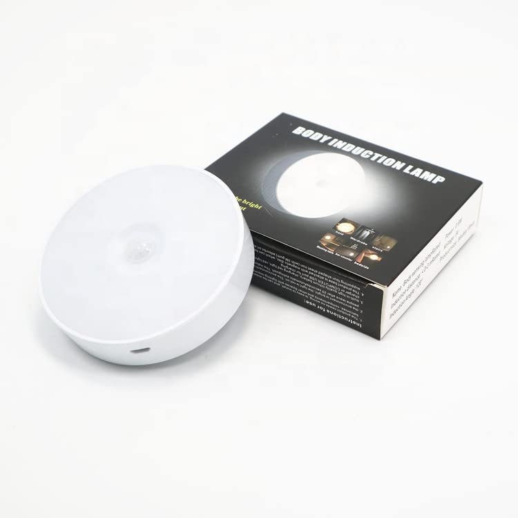 2 in 1 colour motion sensor Light