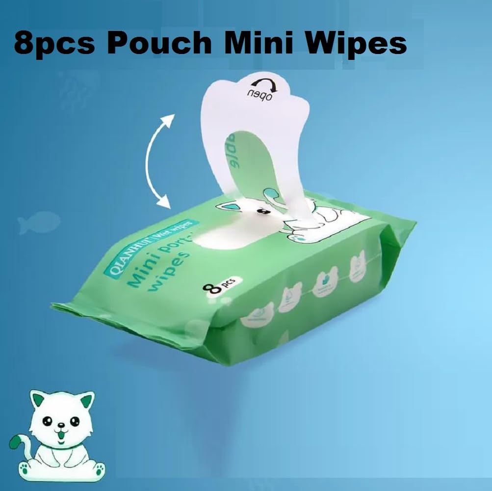 Mini portable wet wipes