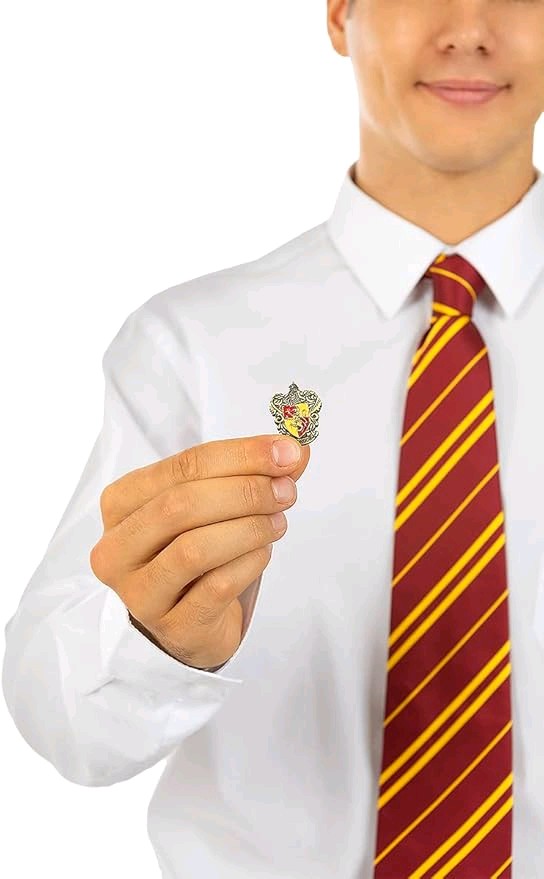 Harry Potter Badges