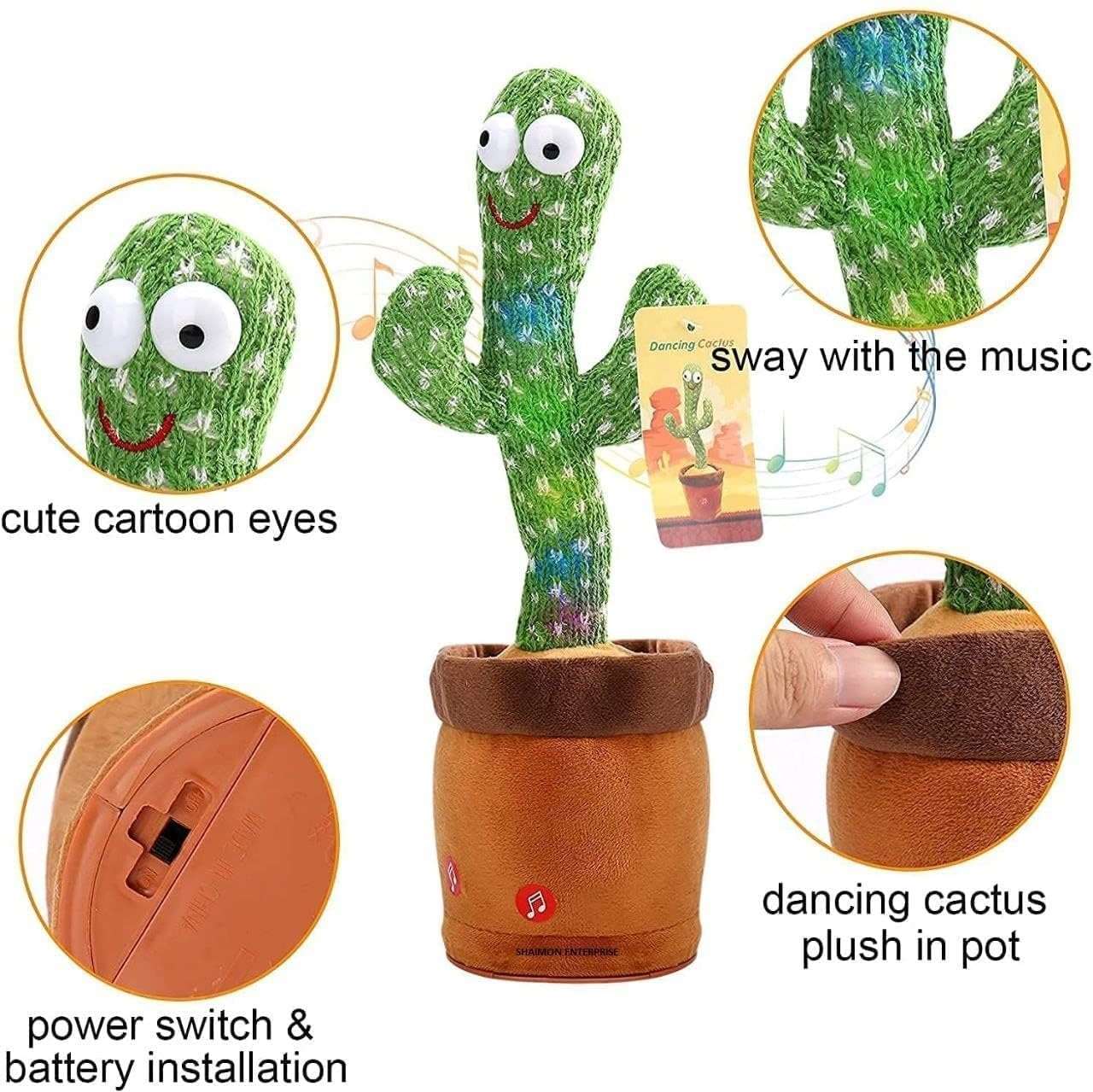 Dancing Cactus