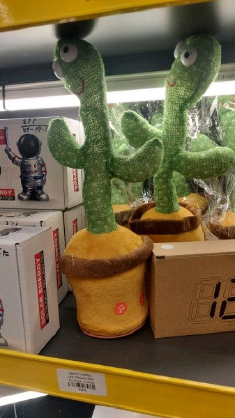 Dancing Cactus