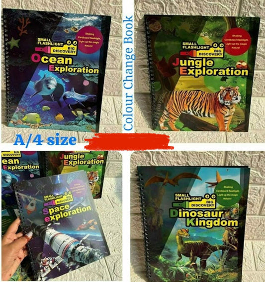 Flashlight Searching Book