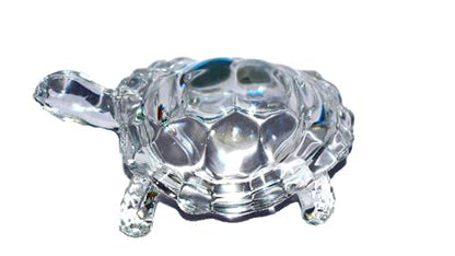 Small Turtle