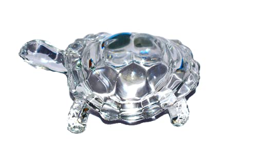 Small Turtle