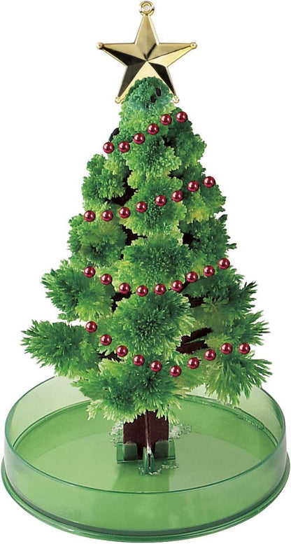 Magically Growing Blossom Tree