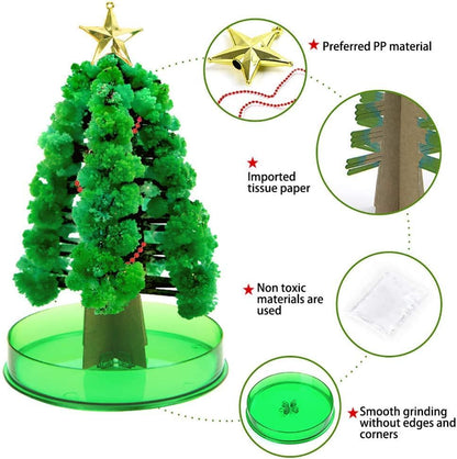 Magically Growing Blossom Tree