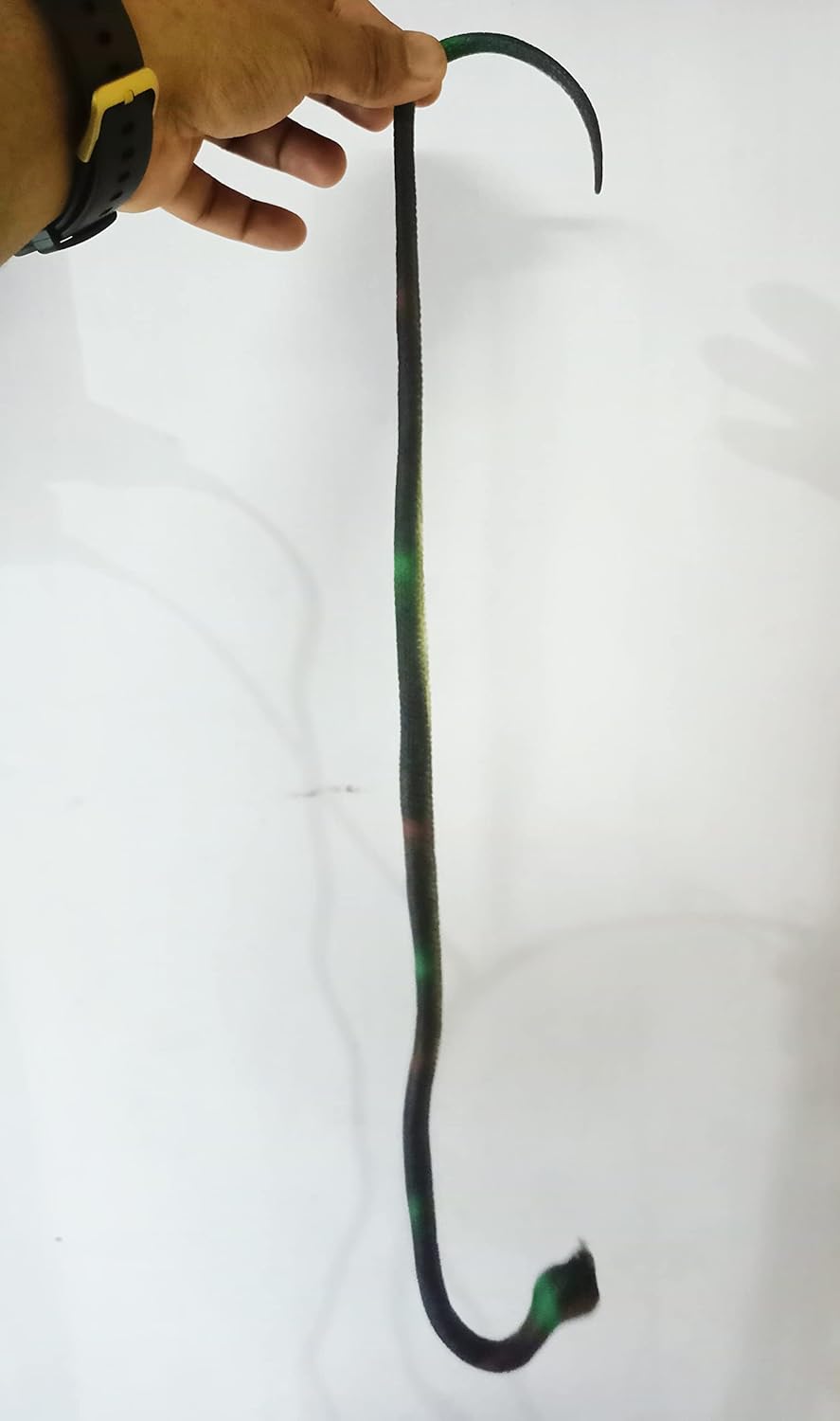 Prank rubber snake
