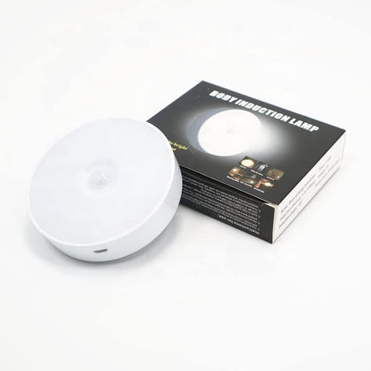 2 in 1 colour motion sensor Light