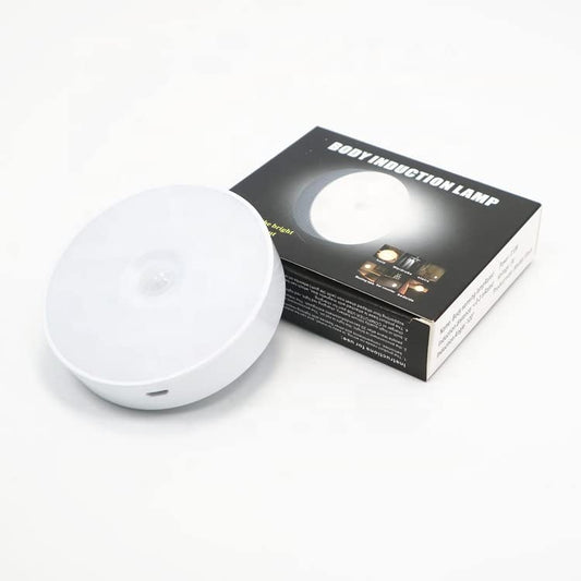 2 in 1 colour motion sensor Light