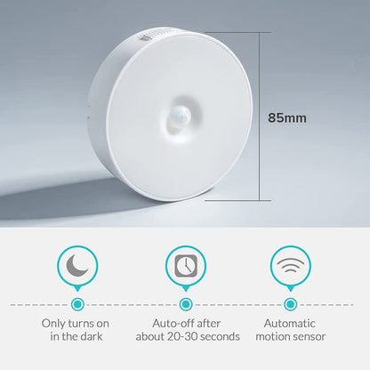 2 in 1 colour motion sensor Light