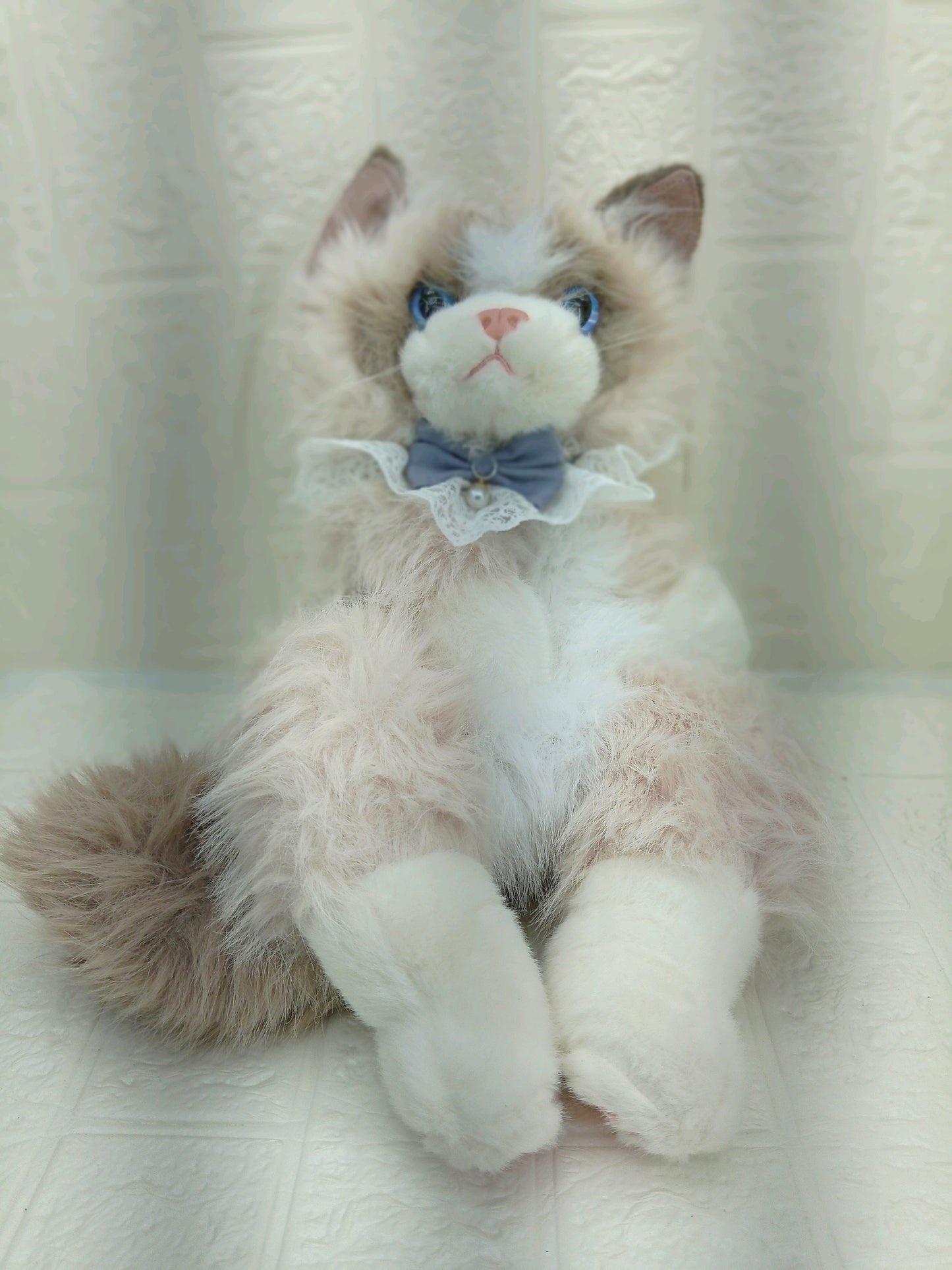 Cat Bag