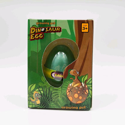 Kids Growing Dinosaur Egg