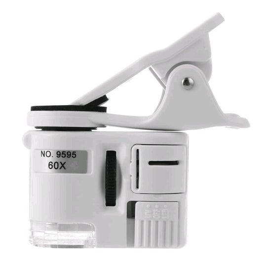 Optical Microscope