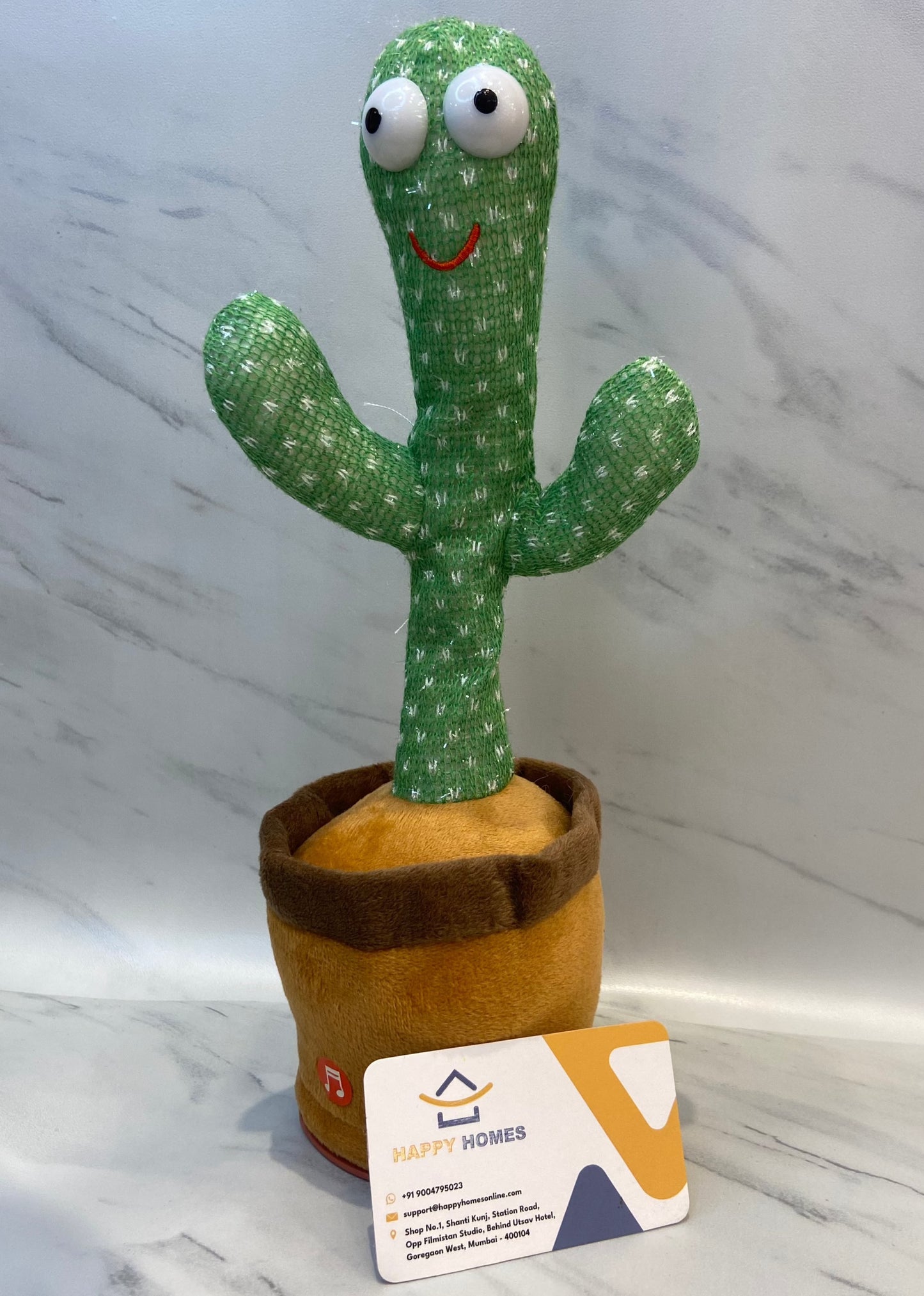 Dancing Cactus