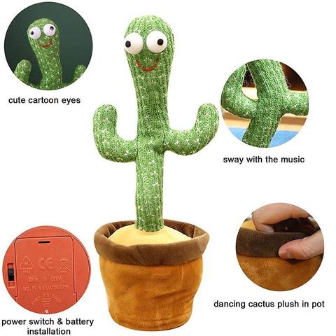 Dancing Cactus